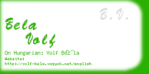 bela volf business card